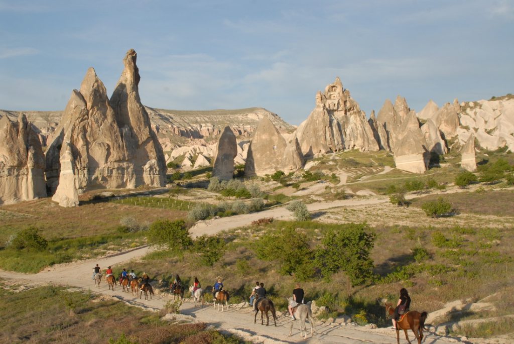 horse-cappadocia